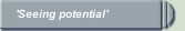 'Seeing potential'